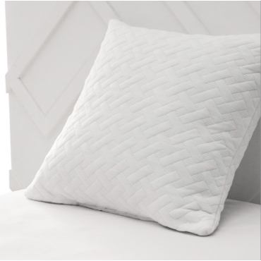 Oreiller a mémoire de forme 60x60cm