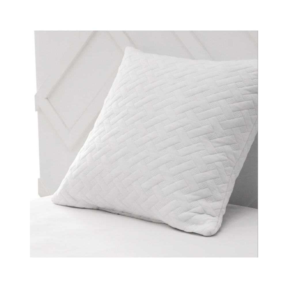 Oreiller a mémoire de forme 60x60cm