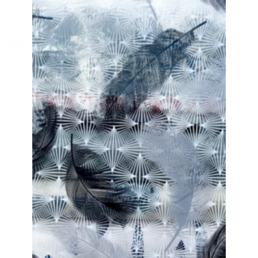 Toile cirée Transparente Imprimée Plumela