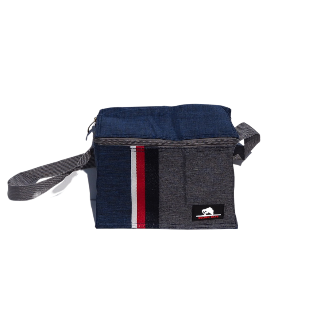 Sac Isotherme Pliable 20L Grande Capacité - Sac à Lunch Portable Pour École, Plage, Pique-Nique