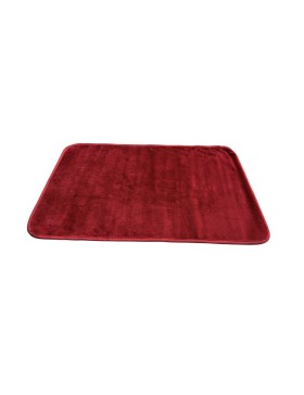 2 in 1 Magic Mat Absorberend Antislip 45x70cm