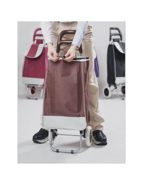 Carrello della spesa, carrello della spesa a 2 ruote, capacità 30 kg, 2 ruote, carrello del mercato