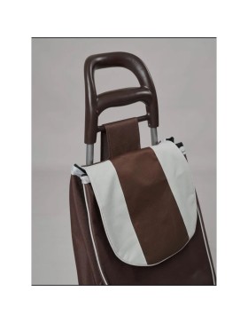 Carrello della spesa, carrello della spesa a 2 ruote, capacità 30 kg, 2 ruote, carrello del mercato