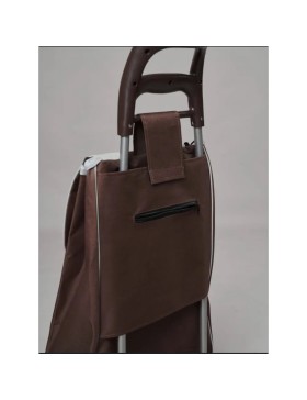 Carrello della spesa, carrello della spesa a 2 ruote, capacità 30 kg, 2 ruote, carrello del mercato