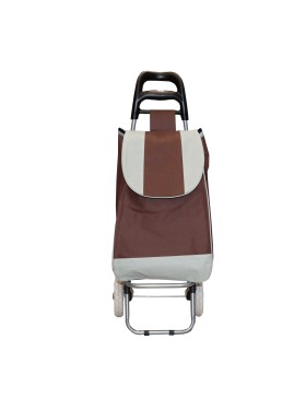 Carrello della spesa, carrello della spesa a 2 ruote, capacità 30 kg, 2 ruote, carrello del mercato
