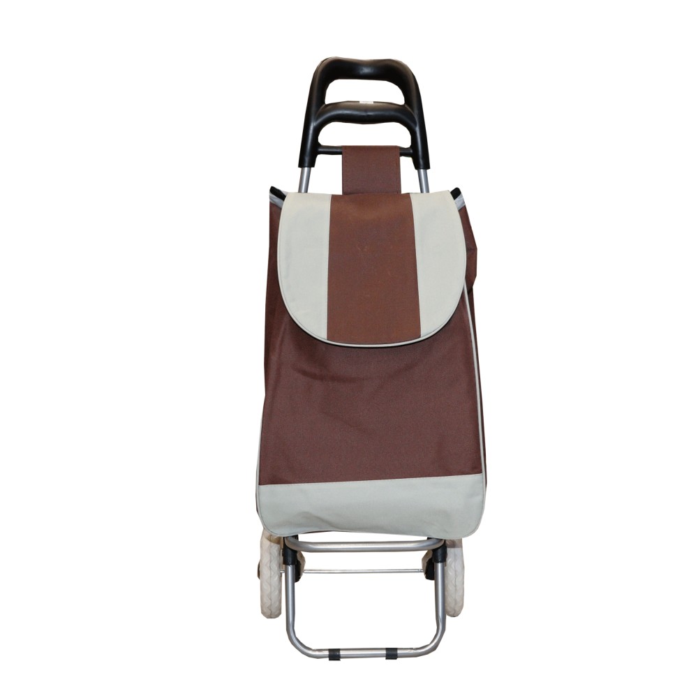 Carrello della spesa, carrello della spesa a 2 ruote, capacità 30 kg, 2 ruote, carrello del mercato