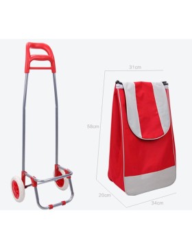 Carrello della spesa, carrello della spesa a 2 ruote, capacità 30 kg, 2 ruote, carrello del mercato